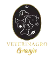 My Website